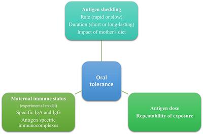 Characteristics of Exogenous Allergen in Breast Milk and Their Impact on Oral Tolerance Induction